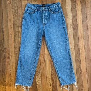 BDG Jeans Urban Outfitters | High Waisted Slim Straight Pant | Size 31 Womens